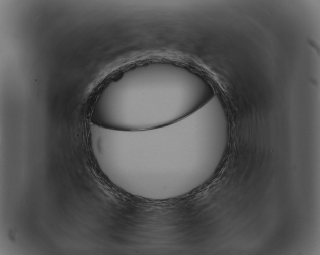 X0000093101496200710171149