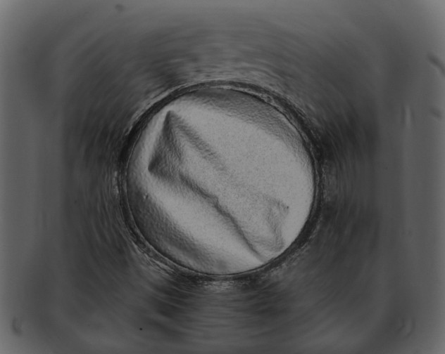 X0000093101497200710171149