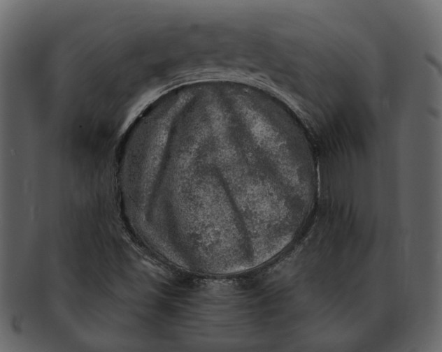 X0000093101501200710171149