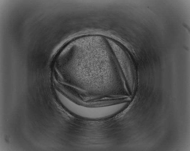 X0000093101502200710171149