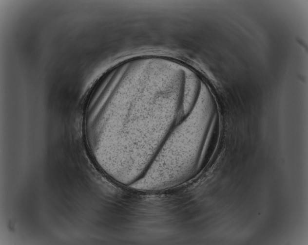 X0000093101504200710171149