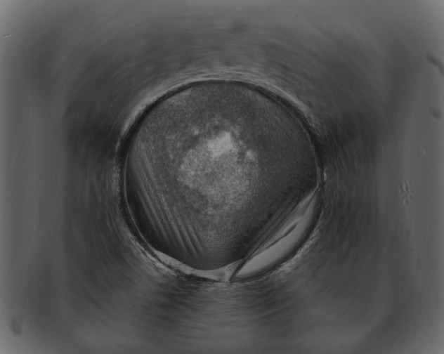 X0000093101506200710171149