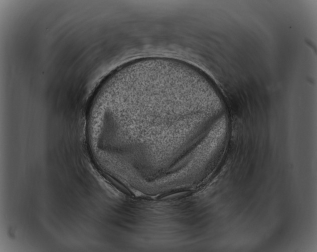 X0000093101507200710171149