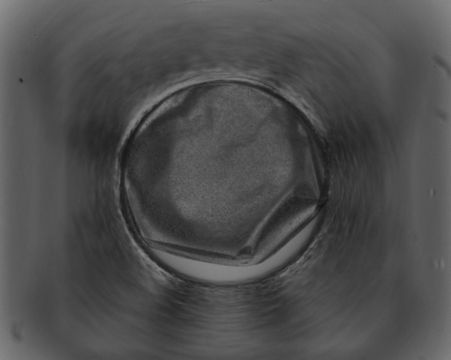 X0000093101508200710171149