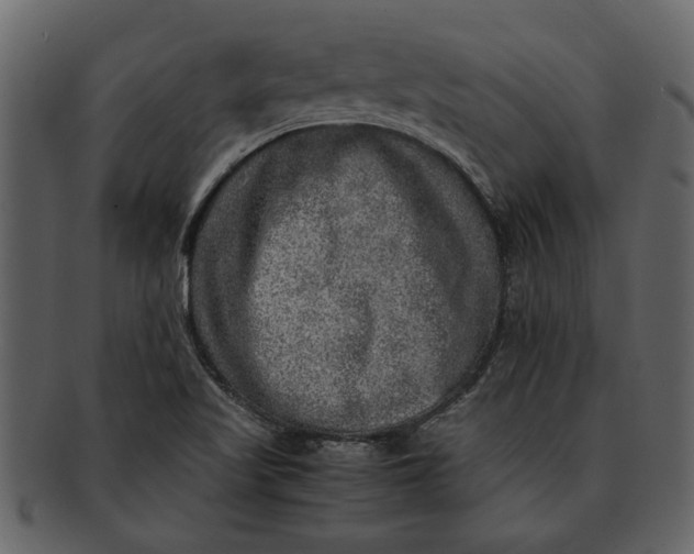 X0000093101509200710171149