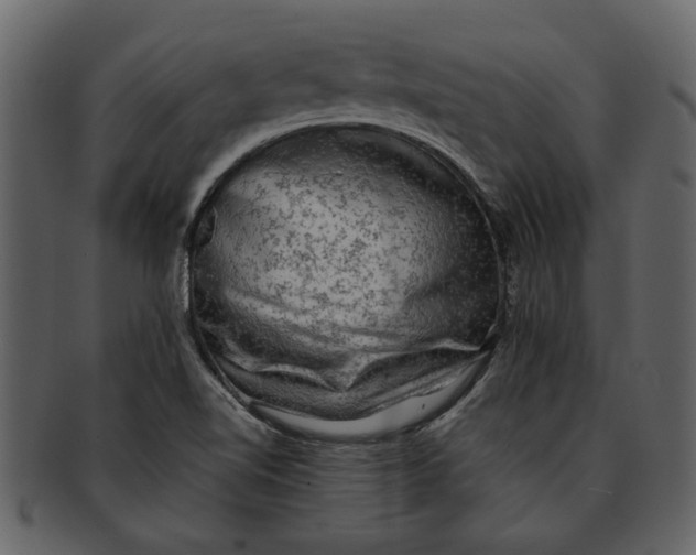 X0000093101510200710171149