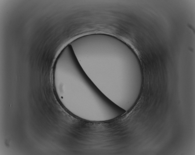 X0000093101516200710171149