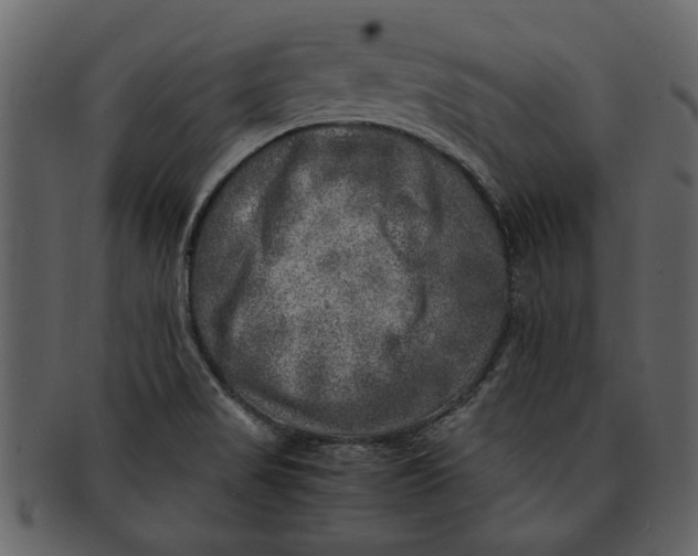 X0000093101517200710171149
