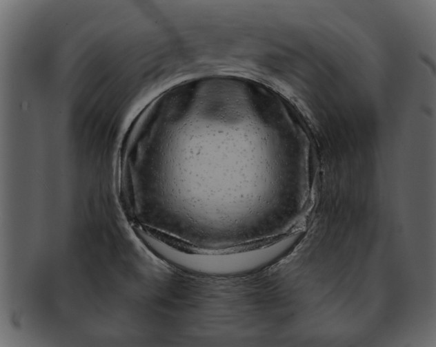 X0000093101520200710171149