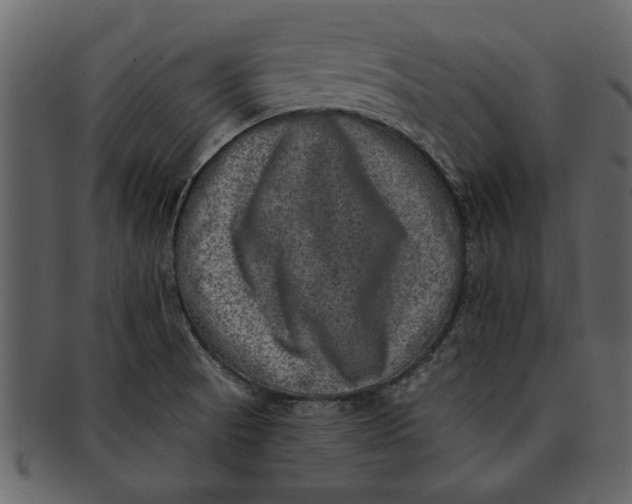 X0000093101521200710171149