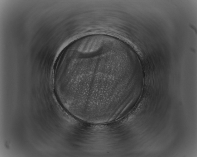 X0000093101522200710171149