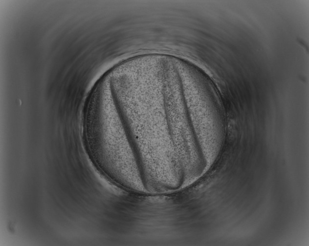 X0000093101523200710171149
