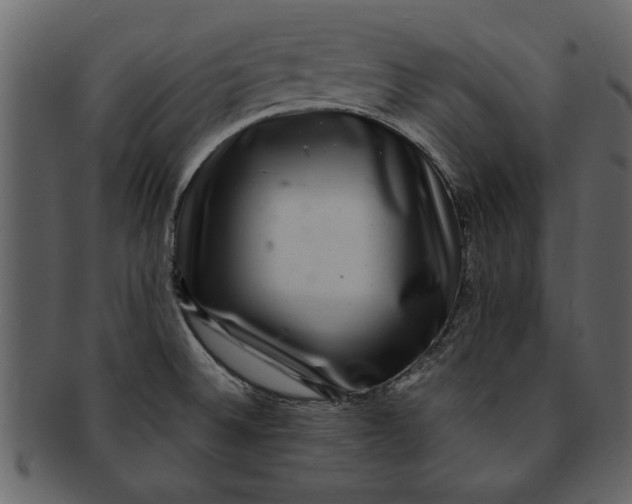 X0000093101524200710171149