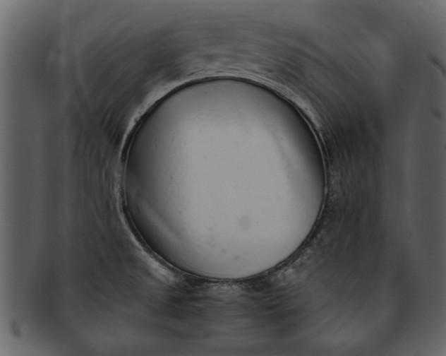 X0000093101525200710171149