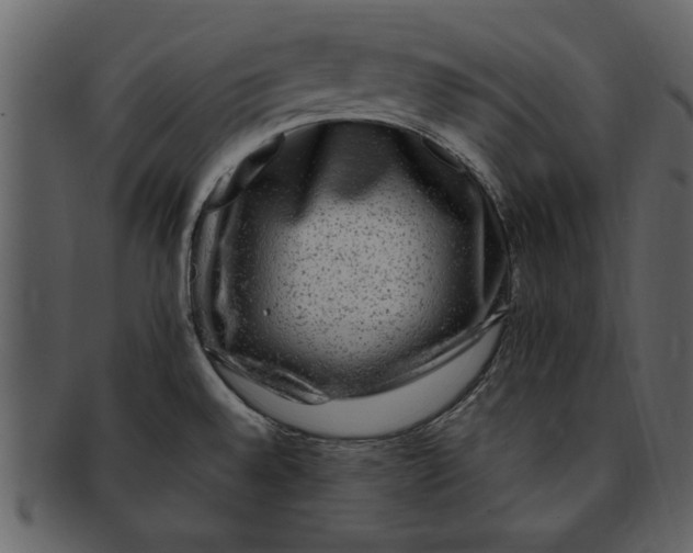 X0000093101528200710171149