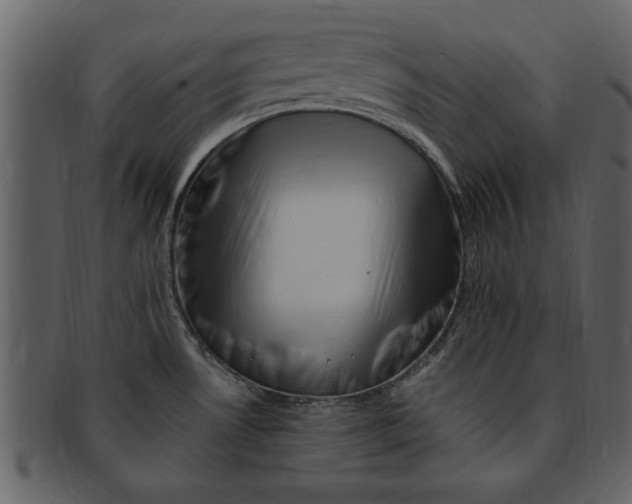 X0000093101530200710171149