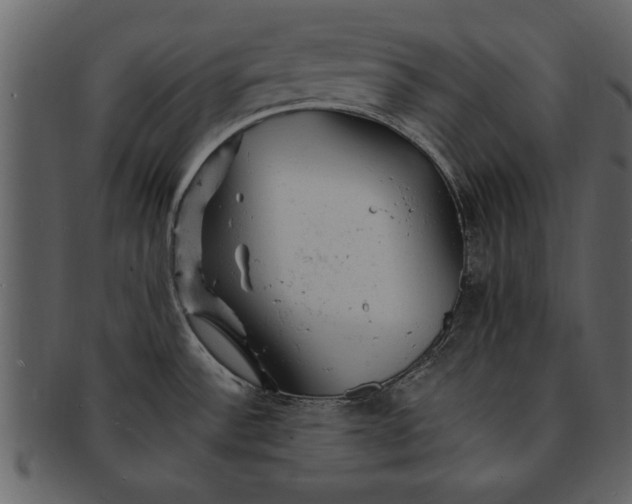 X0000093101532200710171149