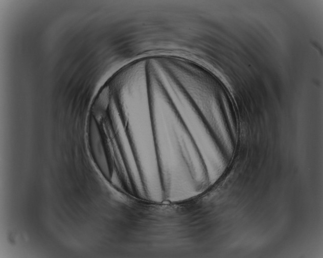 X0000093101533200710171149