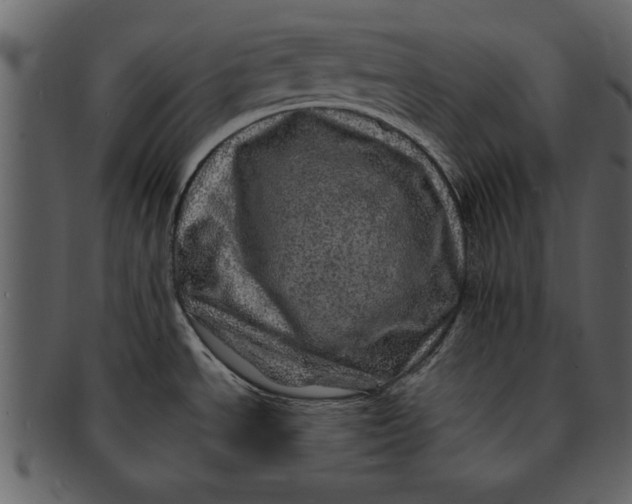 X0000093101534200710171149