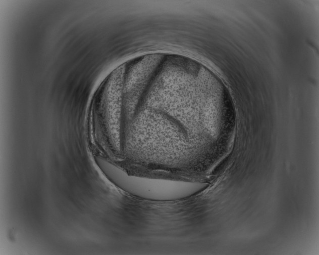 X0000093101536200710171149