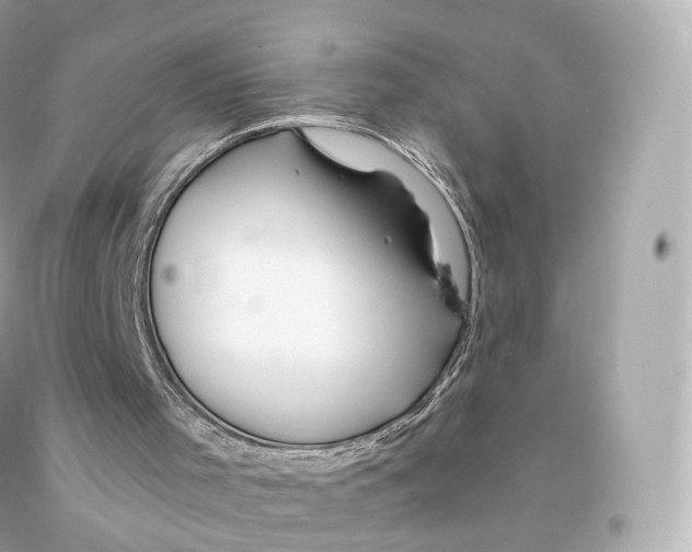 X0000093100001200710241230