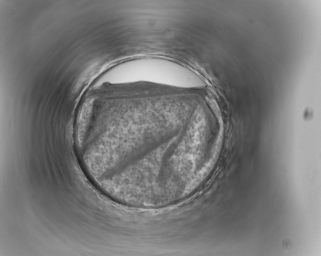 X0000093100002200710241230