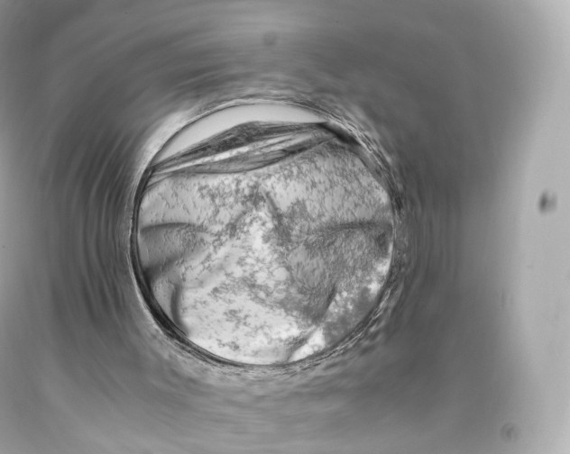 X0000093100003200710241230