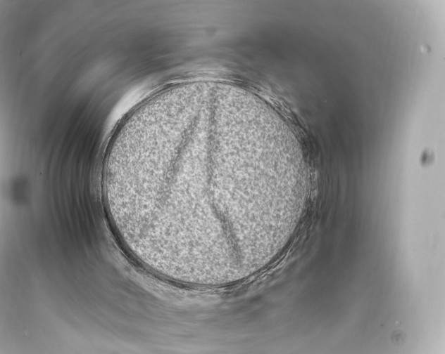 X0000093100004200710241230