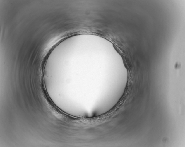 X0000093100005200710241230