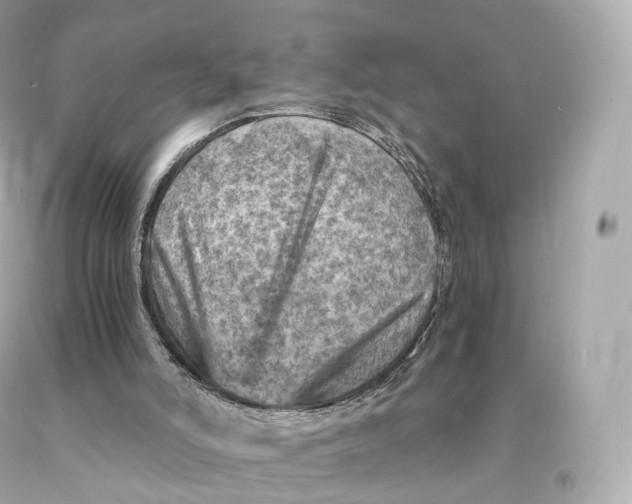 X0000093100006200710241230