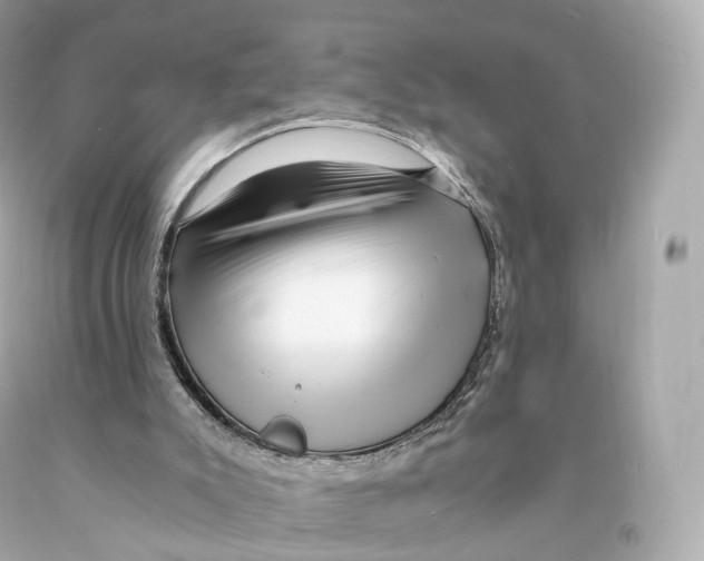 X0000093100007200710241230