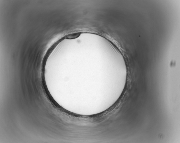 X0000093100008200710241230