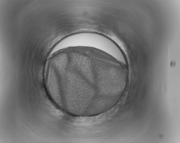 X0000093100009200710241230