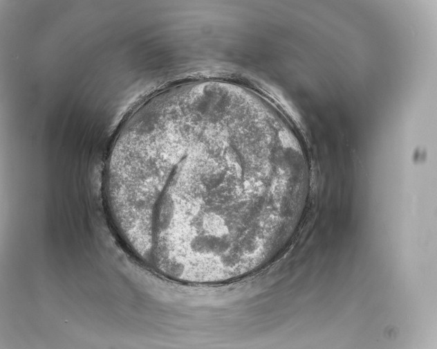 X0000093100010200710241230