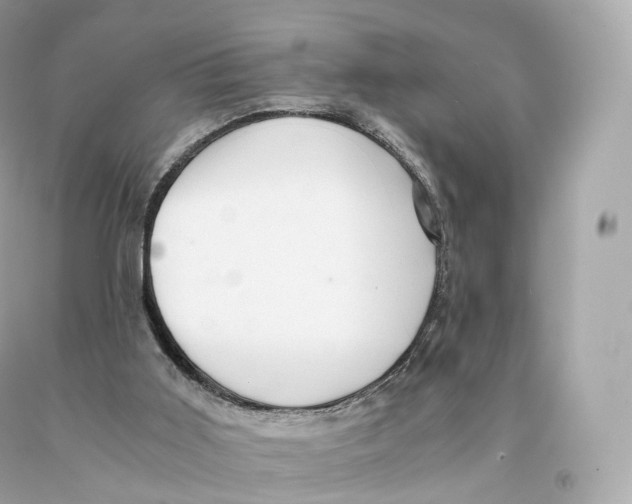 X0000093100011200710241230