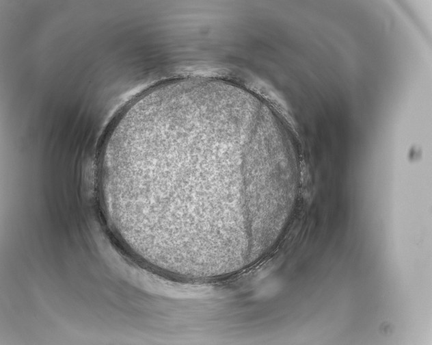 X0000093100012200710241230