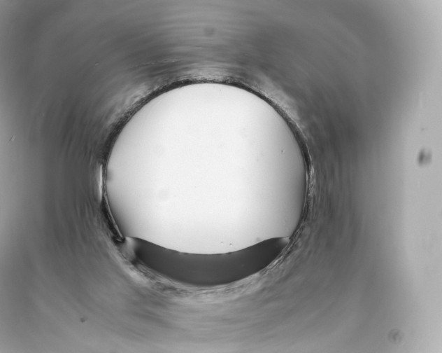 X0000093100013200710241230