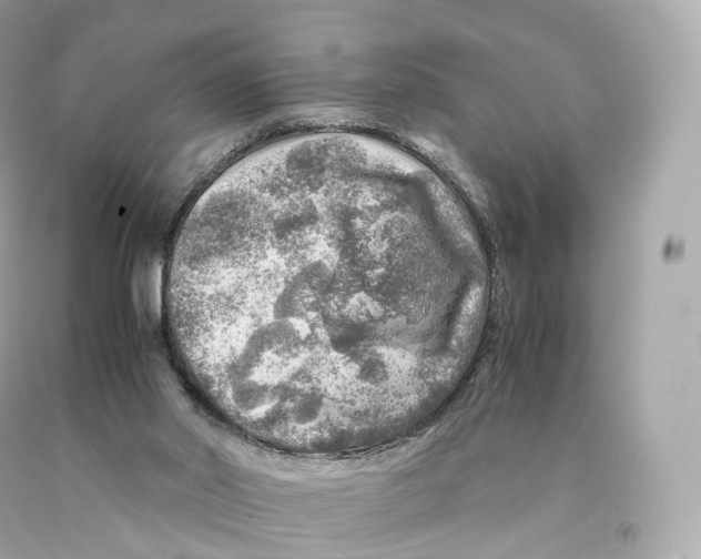 X0000093100014200710241230