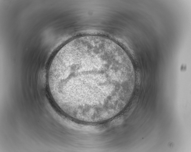 X0000093100016200710241230