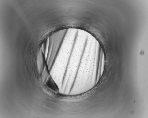 X0000093100017200710241230