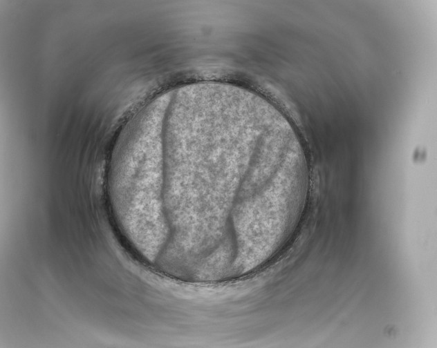 X0000093100018200710241230