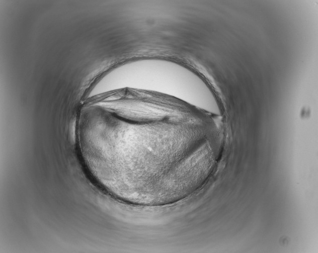 X0000093100019200710241230