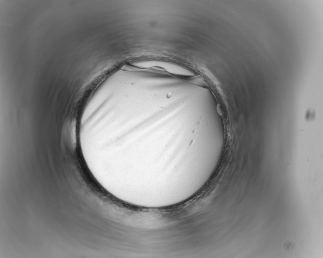 X0000093100020200710241230