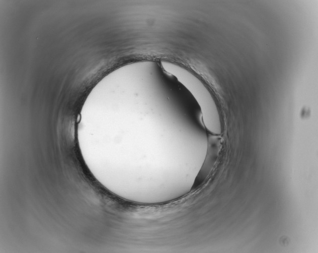 X0000093100021200710241230