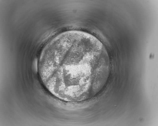 X0000093100022200710241230