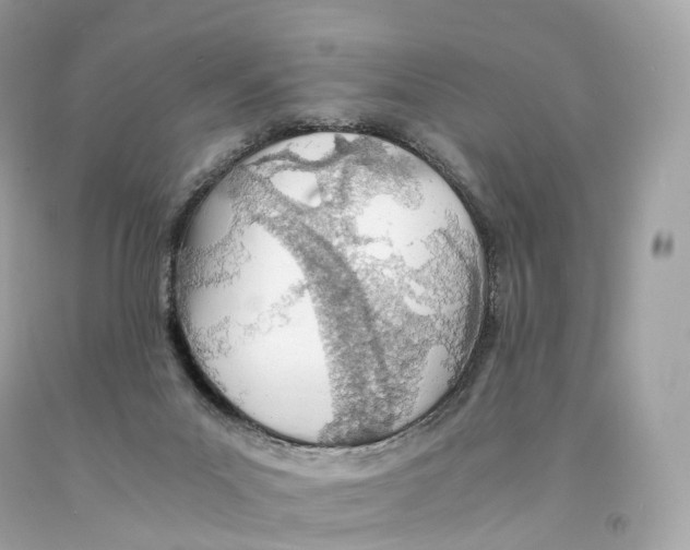 X0000093100023200710241230