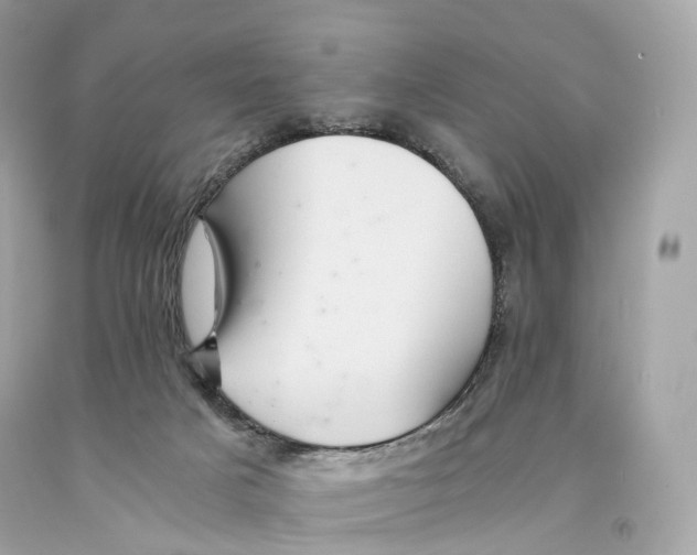 X0000093100025200710241230