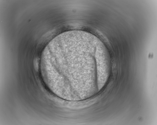 X0000093100026200710241230