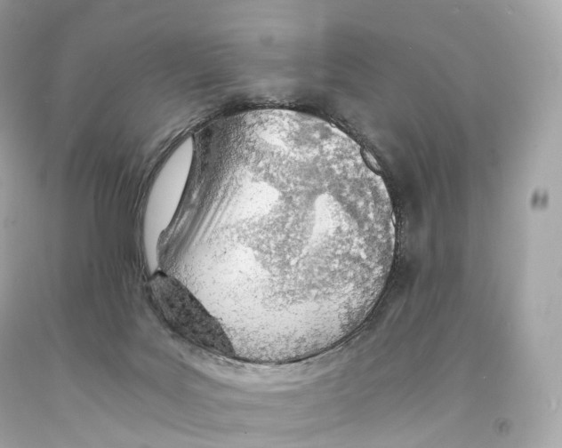 X0000093100027200710241230