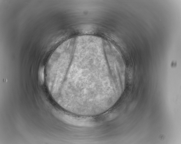 X0000093100028200710241230